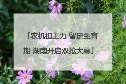 农机担主力 留足生育期 湖南开启双抢大幕