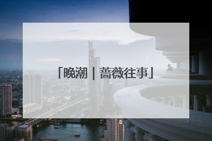 晚潮｜蔷薇往事